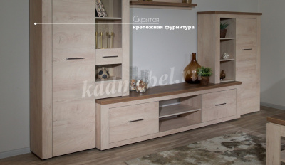 Гостиная Мэдисон (Дуб эндгрейн/Дуб экспрессив бронзовый)
