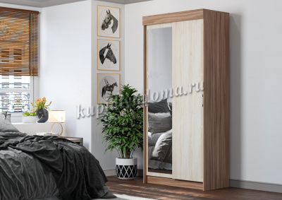 Шкаф-купе СТ №1 с зеркалом (Дуб сонома)