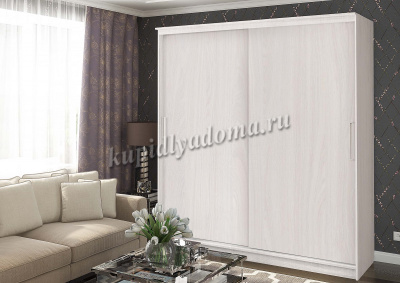 Шкаф-купе Хандис 2000 без зеркал (Анкор светлый)